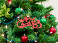Christopher-4