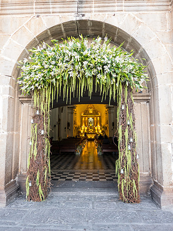 Wedding Arch