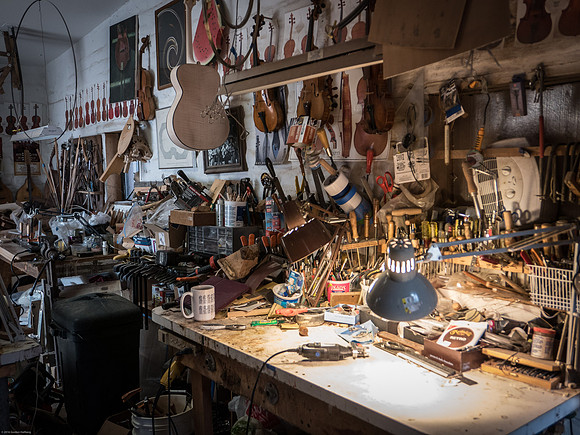 The Shop