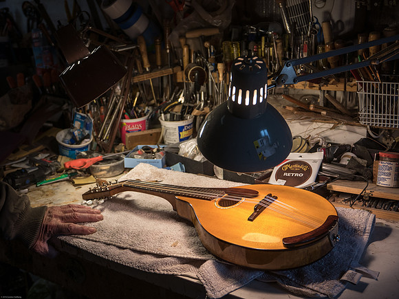 His/My Mandolin