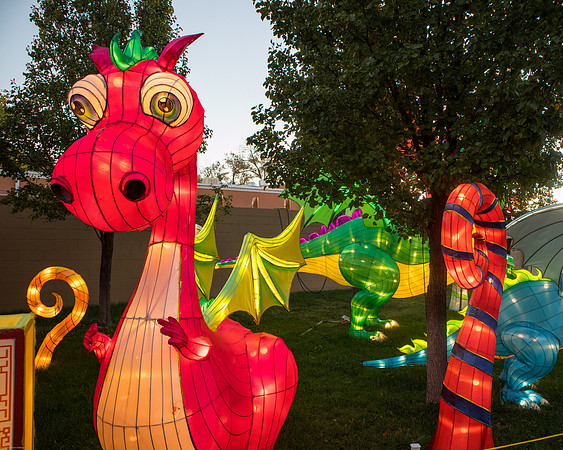 China Light Festival