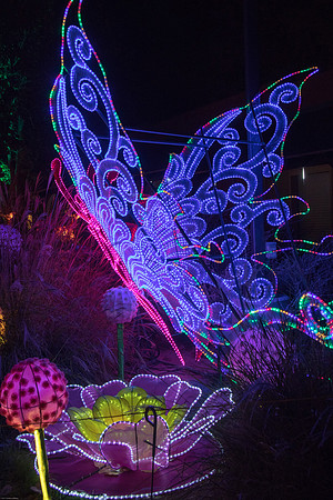 China Light Festival
