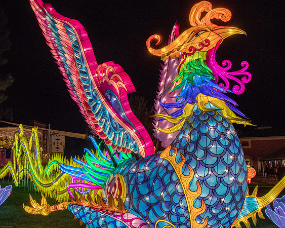 China Light Festival