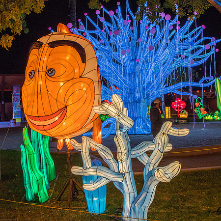 China Light Festival