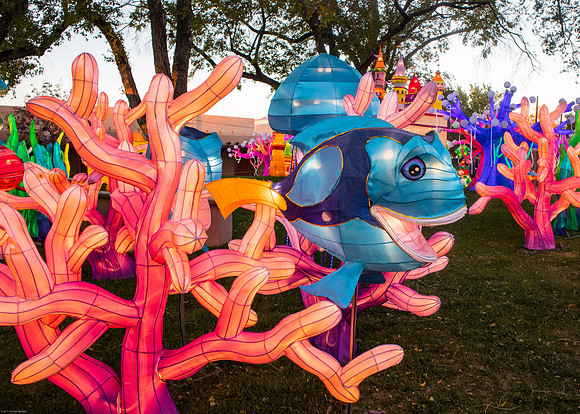 China Light Festival