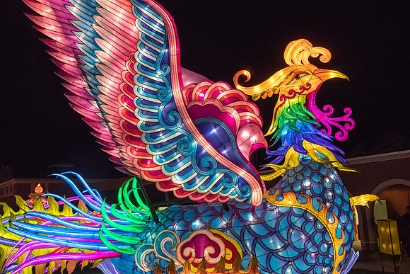 China Lights