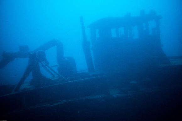 Cruise-14