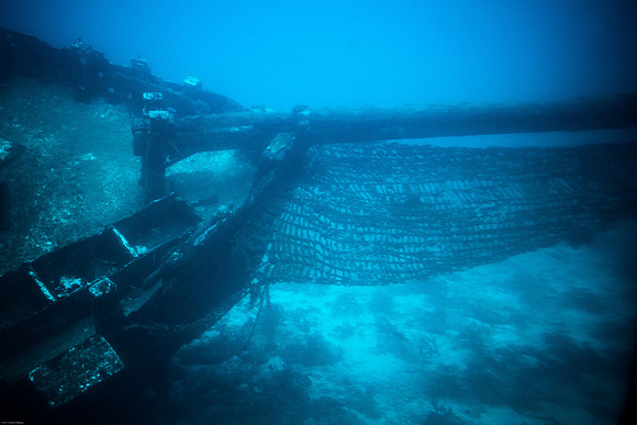 Cruise-15
