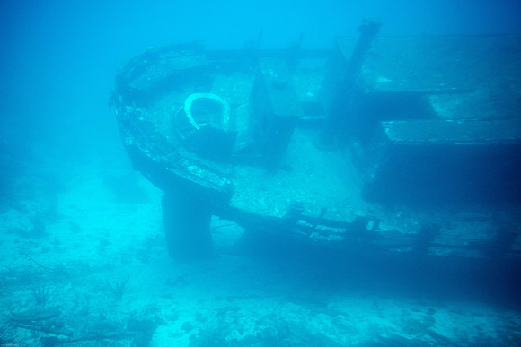 Cruise-16