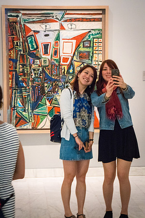 Picasso Museum