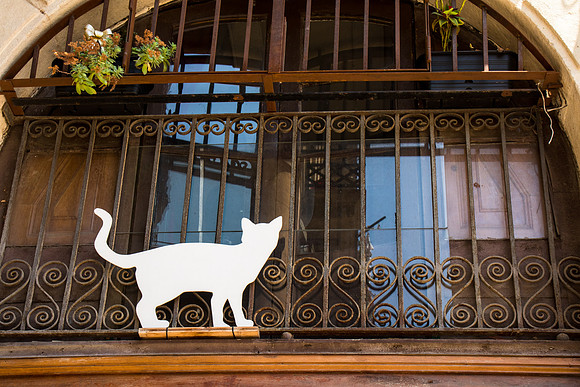 Porch Window