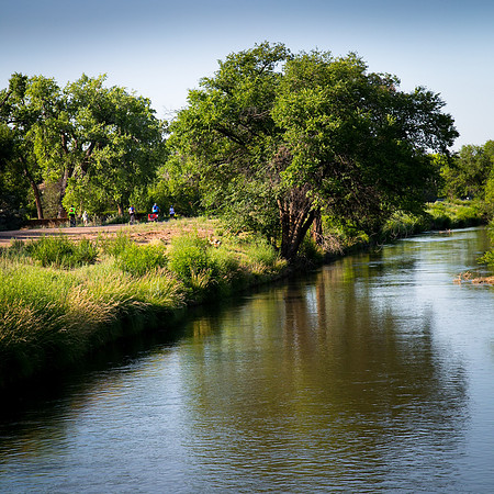 Bosque