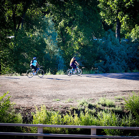 Bosque-8