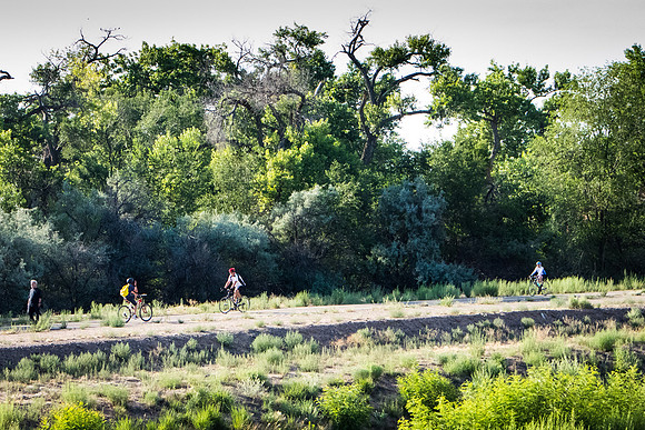 Bosque-3
